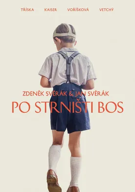 Poster de Po strnisti bos