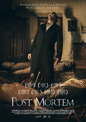 Poster de Post Mortem