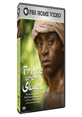 Poster Prince Among Slaves