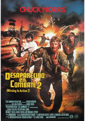 Poster Prisionero de guerra 2: Desaparecido en acción