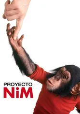 Poster Proyecto Nim