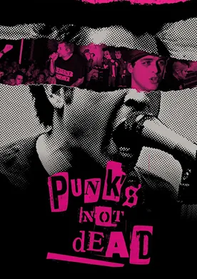 Poster Punk's Not Dead