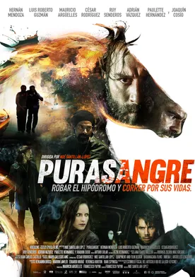 Poster Purasangre