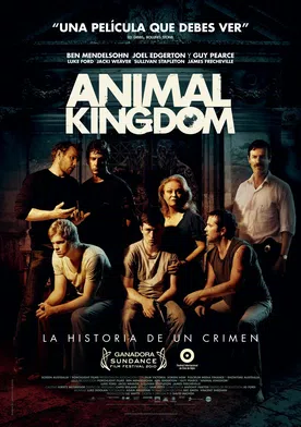 Poster Reino animal