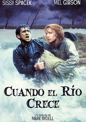 Poster de Río violento