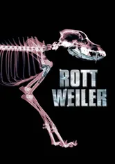 Poster Rottweiler