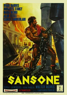 Poster Sansón