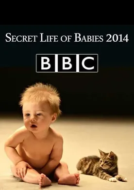 Poster Secret Life of Babies