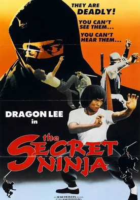 Poster Secreto ninja