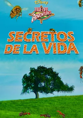 Poster Secretos de la vida