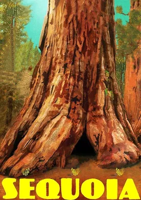 Poster Sequoia