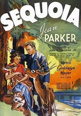 Poster Sequoia