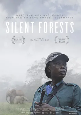 Poster Silent Forests