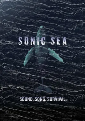 Poster Sonic Sea