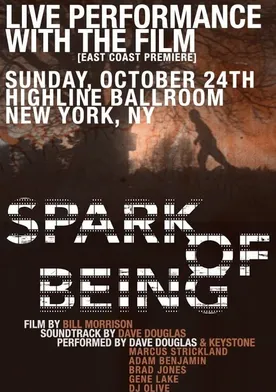 Poster Spark of Being