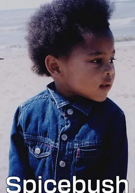 Poster de Spicebush