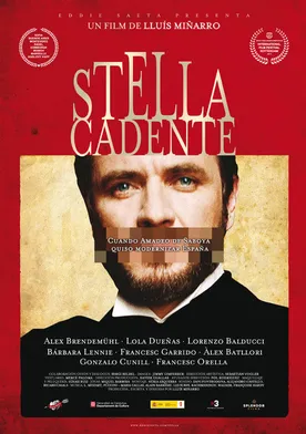 Poster Stella cadente