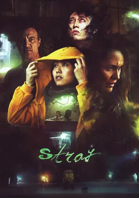 Poster Stray