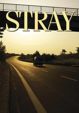 Poster Stray