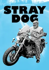 Poster Stray Dog