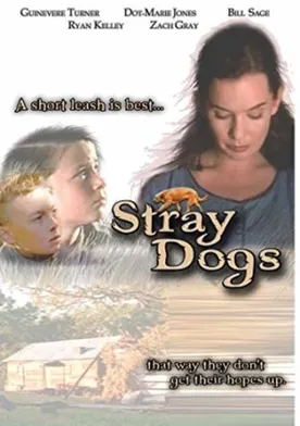 Poster Stray Dogs