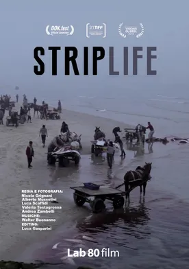 Poster Striplife