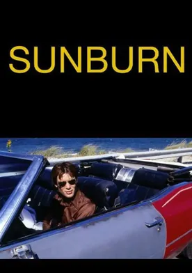 Poster de Sunburn