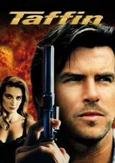 Poster de Taffin