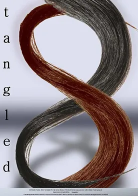 Poster Tangled 8