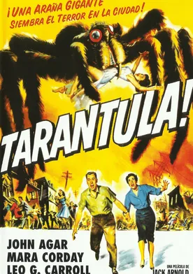 Poster Tarántula