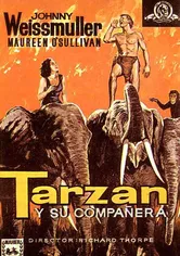 Poster Tarzán y su compañera