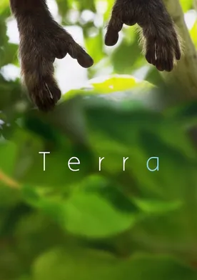 Poster Terra