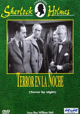 Poster Terror en la noche