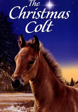 Poster The Christmas Colt