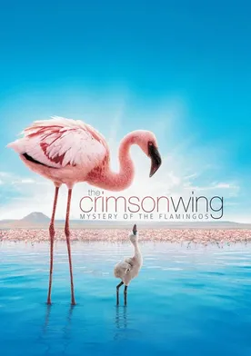 Poster The Crimson Wing: Mystery of the Flamingos