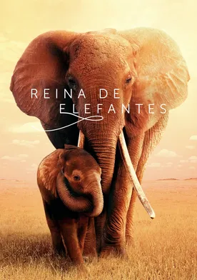 Poster The Elephant Queen