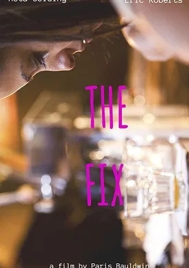 Poster The Fix