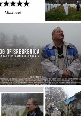 Poster The Fog of Srebrenica