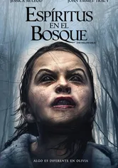 Poster de The Hollow Child
