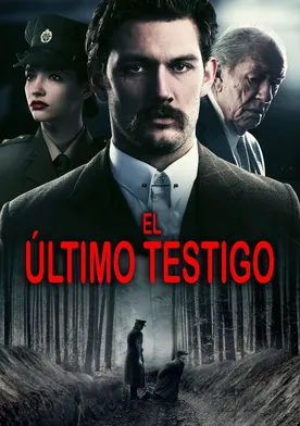 Poster The Last Witness