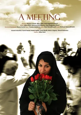 Poster The Meeting