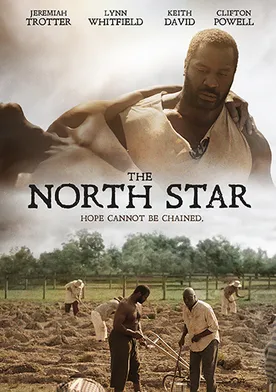 Poster de The North Star