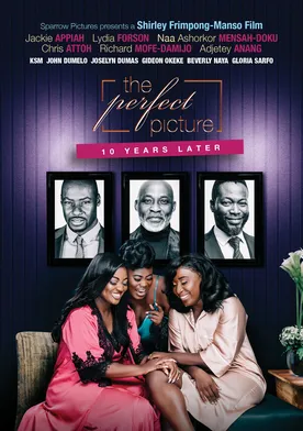 Poster de The Perfect Picture: Ten Years Later