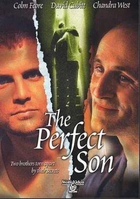 Poster The Perfect Son