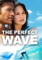 Poster The Perfect Wave