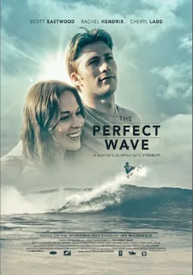 Poster The Perfect Wave