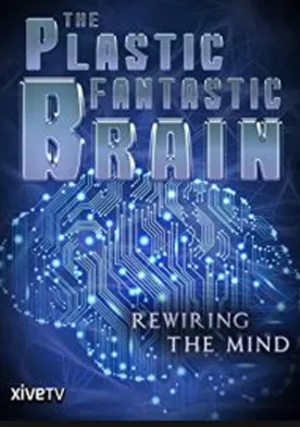 Poster The Plastic Fantastic Brain