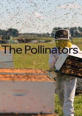 Poster The Pollinators