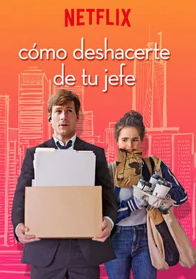 Poster de Set It Up