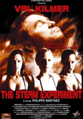 Poster The Steam Experiment